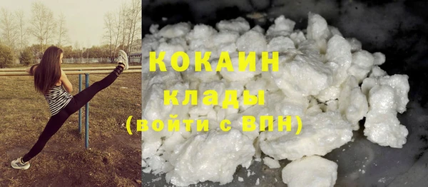 стаф Верея